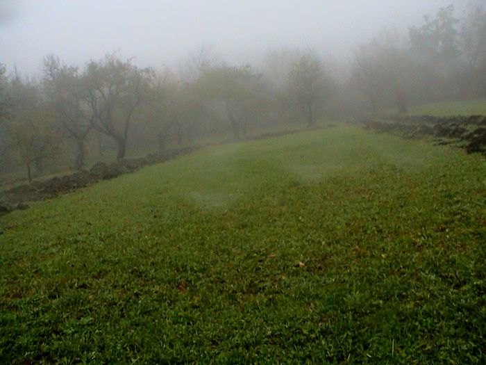 Prin ceata si ploaie.. (93)