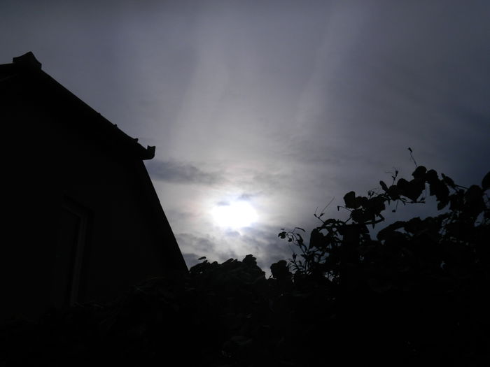 DSCN1637 - OCTOMBRIE_2014