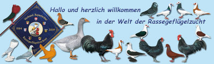 5-6-7 dec-nationalele Leipzig - 7-anunt important