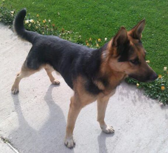 IMG_20140802_094340-1