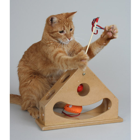 cat_toy_1 - Album pisicutze pentru biutiful