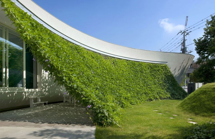 House-and-Garden-Design-of-a-Japanese-Modern-Crib; Resedita Dragan Canada Romania
