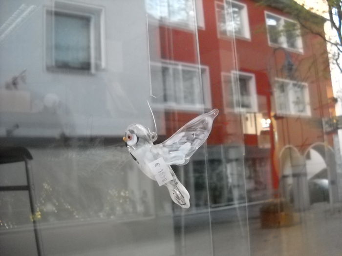 Nikon Coolpix 19 55 230