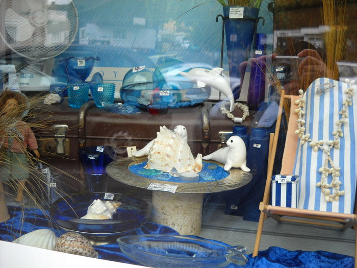 Nikon Coolpix 19m 063