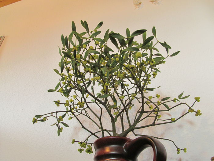  - Diverse 3 - Diverse