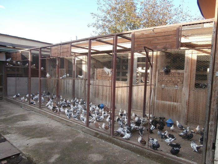 Tineret 2014 Octombrie 176758