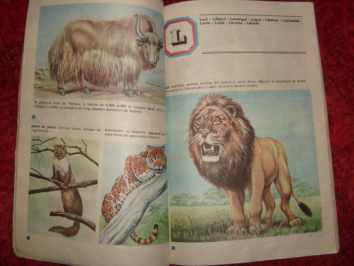 bogat ilustrata - L2 - Literatura despre animale in general