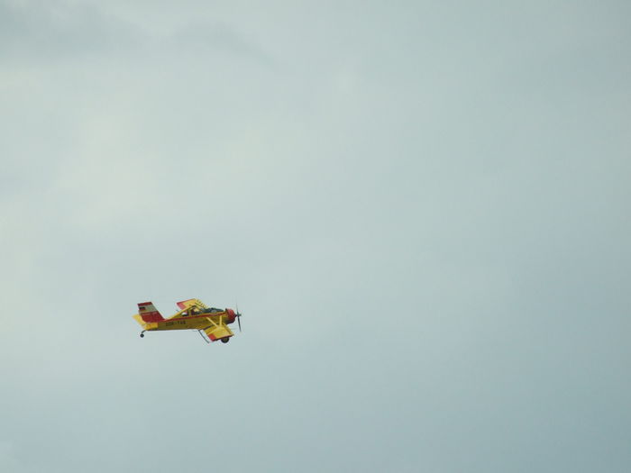 DSCF7655