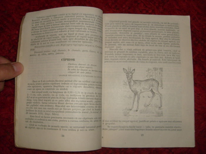 i - L2 - Literatura despre animale in general