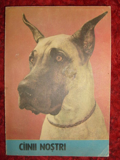 c - L2 - Literatura despre animale in general