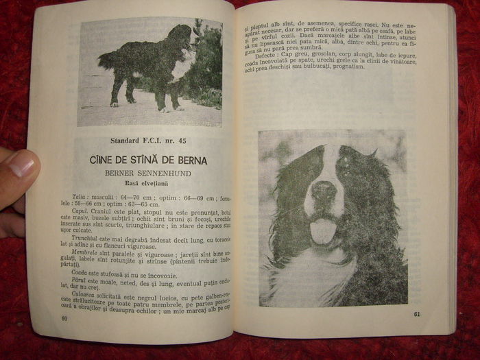 i - L2 - Literatura despre animale in general