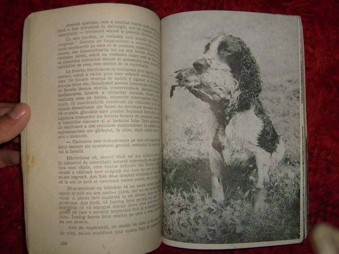 i - L2 - Literatura despre animale in general