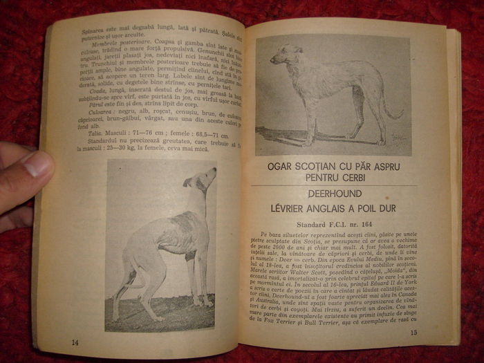 i - L2 - Literatura despre animale in general