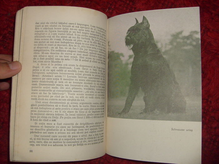 i - L2 - Literatura despre animale in general