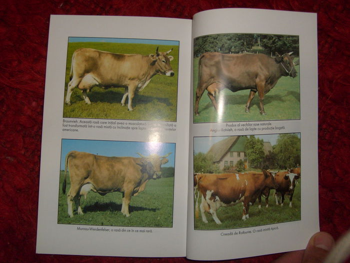 i - L2 - Literatura despre animale in general