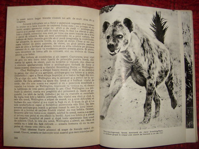 i - L2 - Literatura despre animale in general