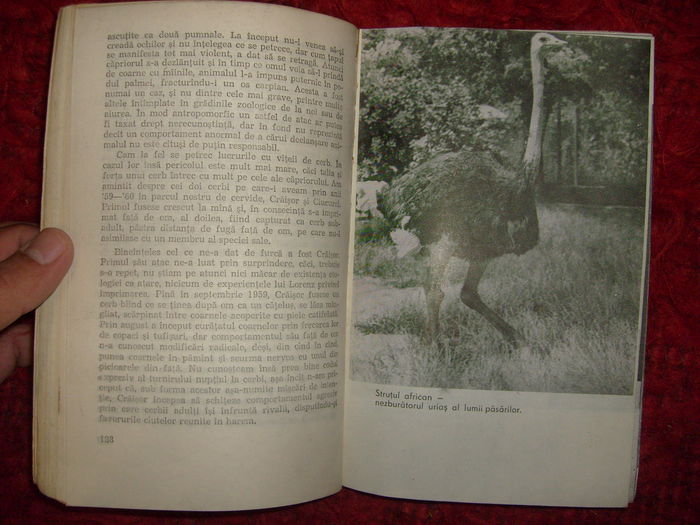 i - L2 - Literatura despre animale in general