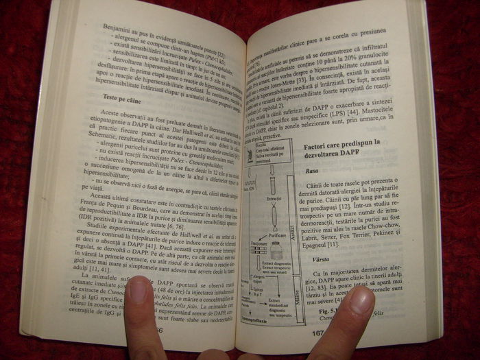 i - L2 - Literatura despre animale in general