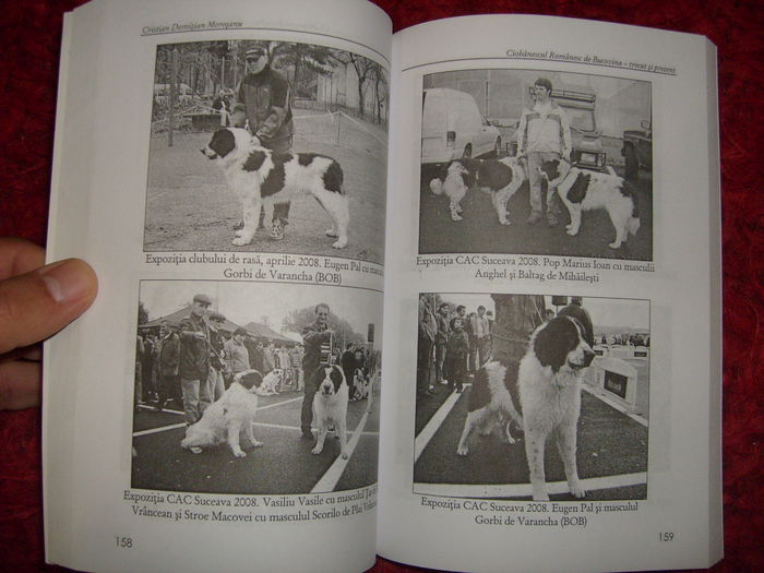 i - L2 - Literatura despre animale in general