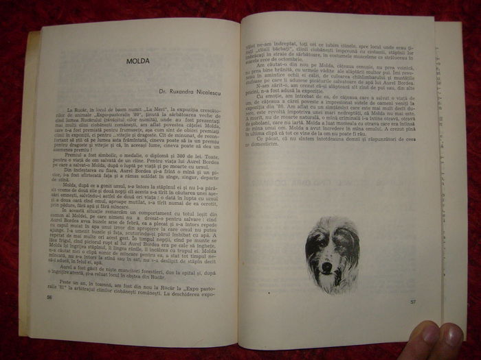 i - L2 - Literatura despre animale in general