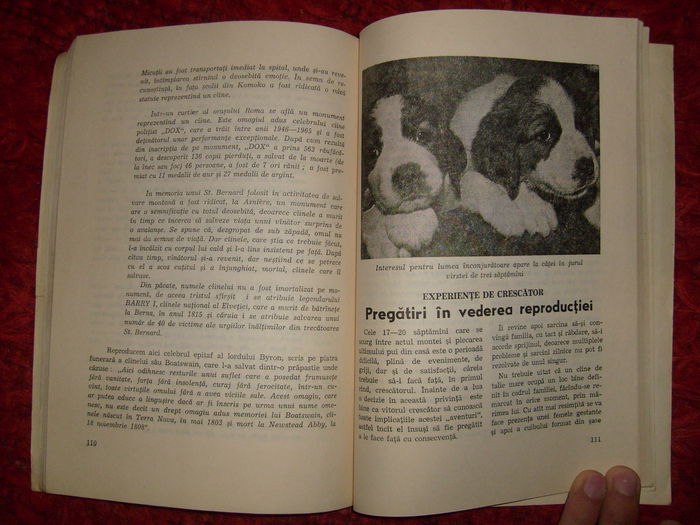 i - L2 - Literatura despre animale in general