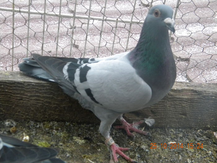 DSCN4525