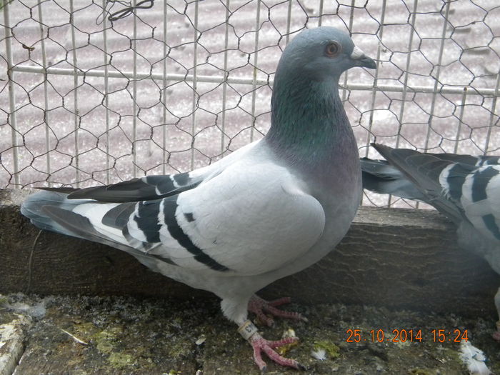DSCN4527