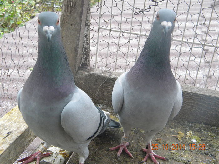 DSCN4532