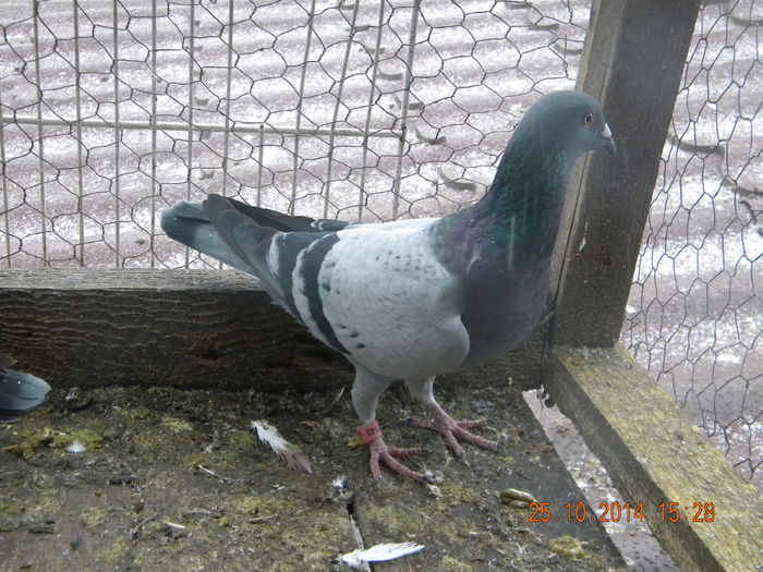 DSCN4539