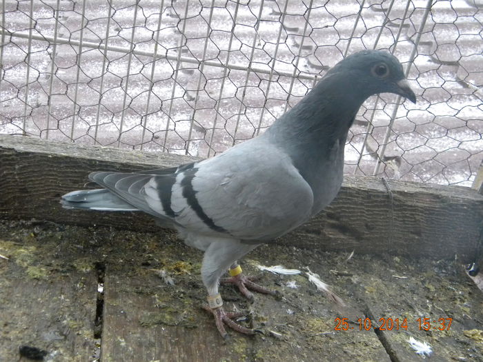 DSCN4573