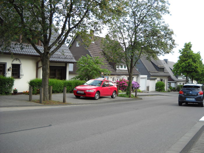 DSCN0994 - Hunsborn un sat mic German