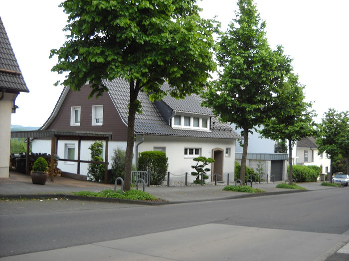 DSCN0995 - Hunsborn un sat mic German