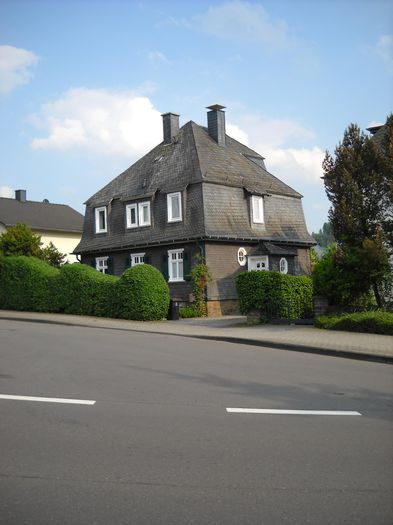 DSCN0999 - Hunsborn un sat mic German