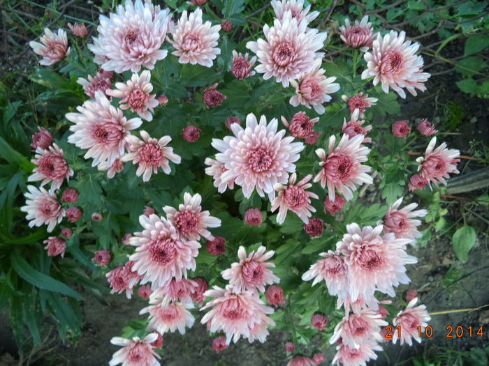 DSC01714