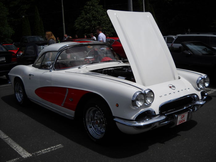 Nikon Coolpix 19 558 064