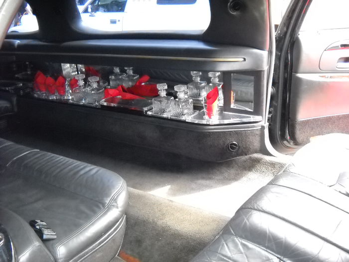 Nikon Coolpix 19 558 098