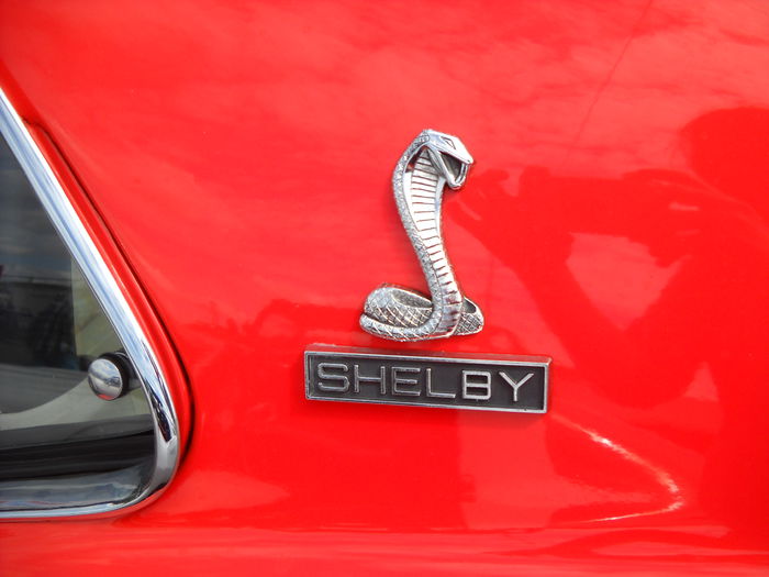 Nikon Coolpix 19 558 119