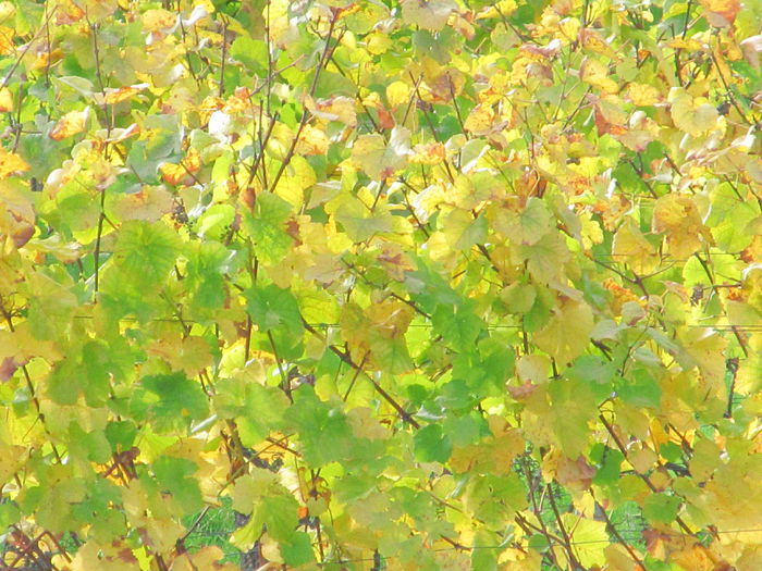  - Diverse 3 - Diverse