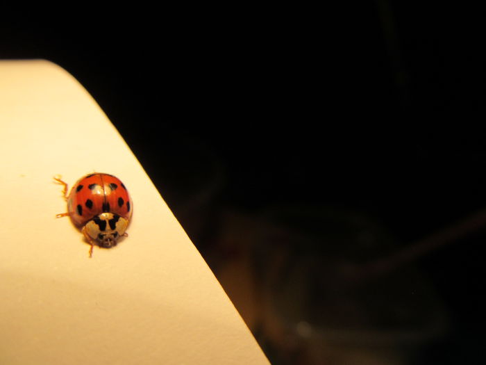  - Diverse 3 - Diverse