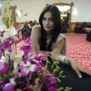 10731905_538241856320343_165639964_a