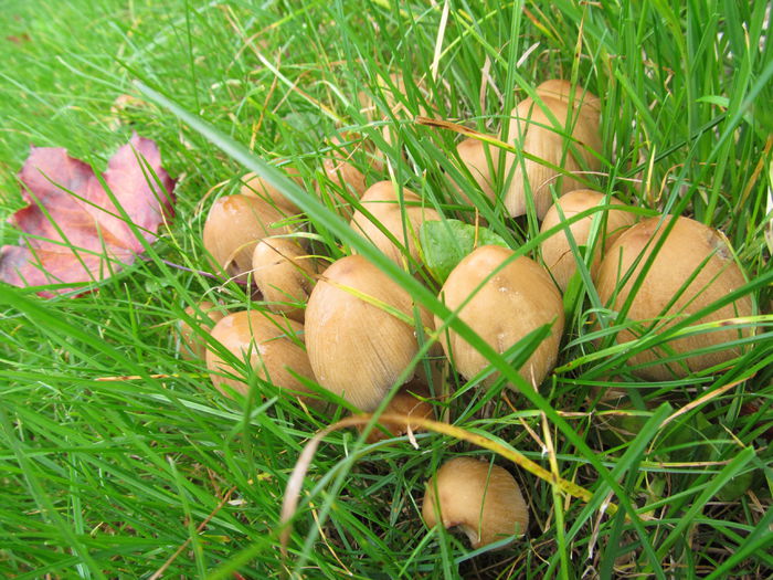  - Diverse 3 - Diverse