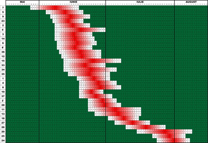 Grafic Crini inflorire dupa data