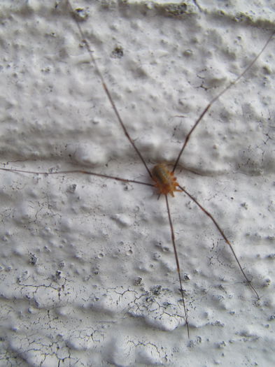  - Diverse 3 - Diverse