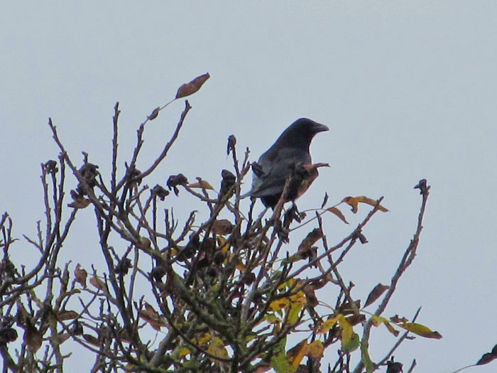  - Diverse 3 - Diverse