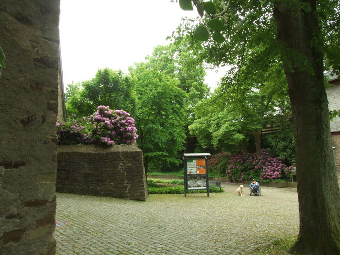 DSCF7726 - Oberes Schloss Siegen