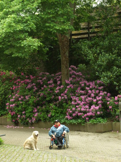 DSCF7727 - Oberes Schloss Siegen