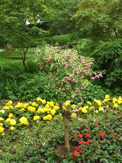 DSCF7843 - Oberes Schloss Siegen