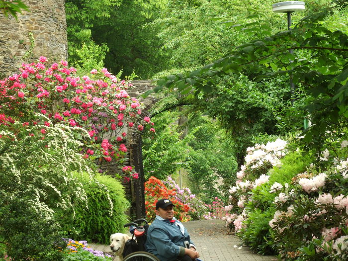 DSCF7859 - Oberes Schloss Siegen