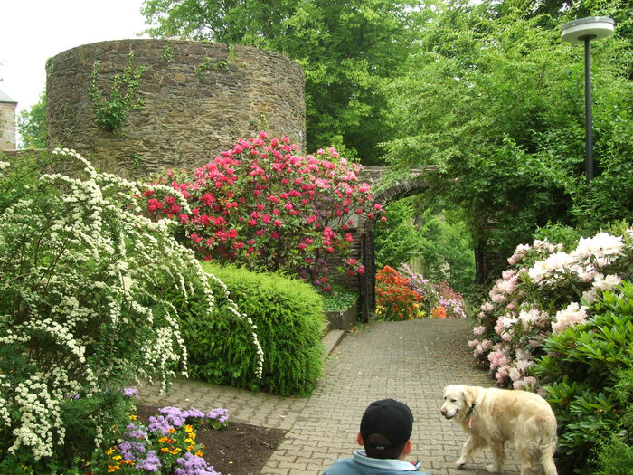 DSCF7861 - Oberes Schloss Siegen