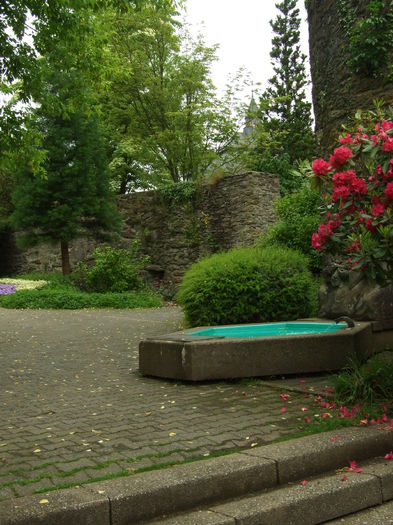 DSCF7863 - Oberes Schloss Siegen